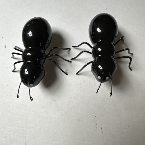 Pair glossy black ants - glossy, insect